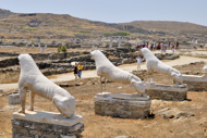 Greece Stock Photography. A Terrace of the Lions. Delos Island, Cyclades Islands, Greece, Europe.